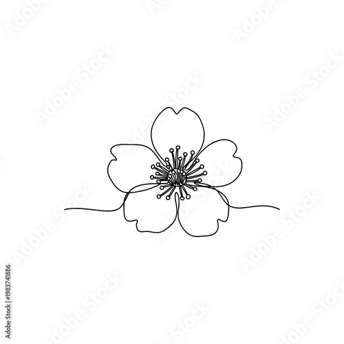 simple one line drawing of a single flower with visible stamens