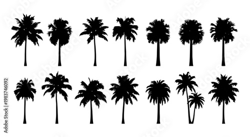 palm trees silhouette collection offering diverse tropical nature illustrations ideal for summer beach design projects and exotic vacation themes.
