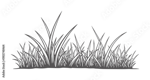 Of dark green grass blades white nature plant