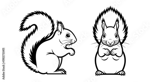 A minimalist vector illustration of two cute squirrels in a simple black and white design