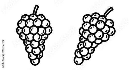 A minimalist vector illustration of two bunches of grapes in a simple black and white design
