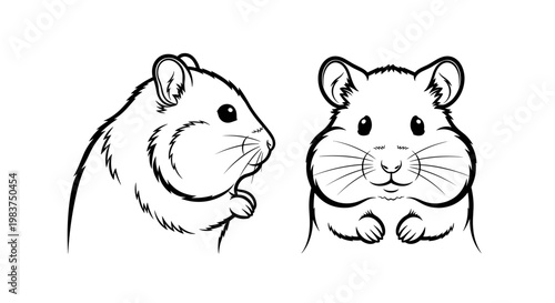 A cute vector illustration of two hamsters in a simple line art style