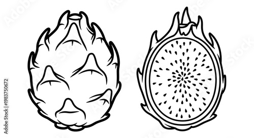 A minimalist vector illustration of a dragon fruit in two views, whole and cut in half.