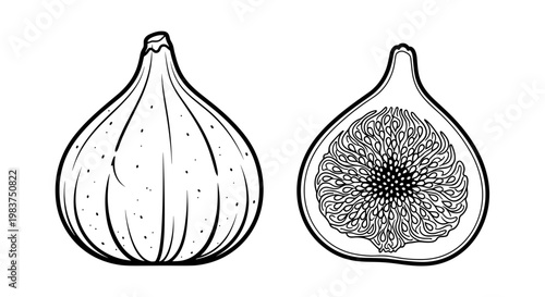 A minimalist vector illustration of a whole and halved fig on a white background