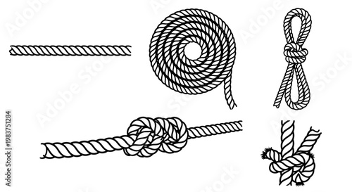A vector graphic illustration of various rope knots and designs on a white background