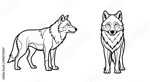 A minimalist vector illustration of two wolves in a simple line art style