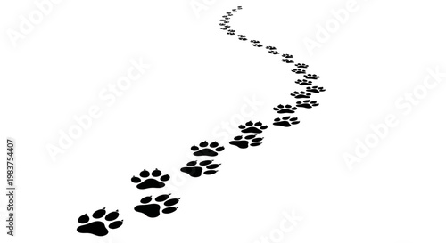 Black Paw Prints Trail Following a Winding Path