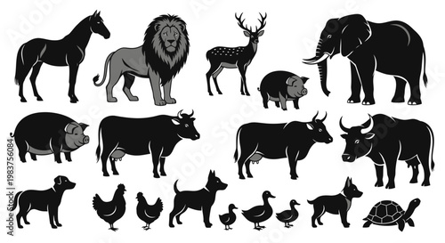 Photography Collection of Domestic and Wild Animals Including Horse, Lion, Deer, Elephant, P
