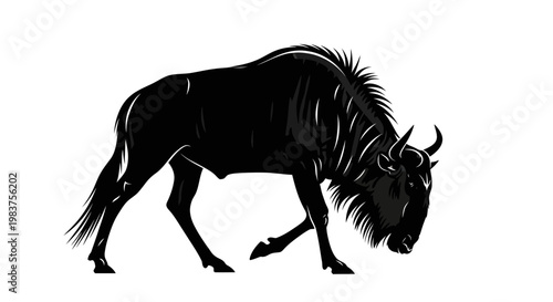 Fotografía Black Silhouette of a Wildebeest Grazing on White Background