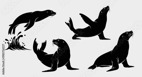 Diverse Seal Poses and Water Splash Vector Graphics for Aquatic Themes