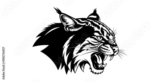 Ferocious Bobcat Head Roaring Aggressively with Sharp Teeth