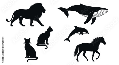Lion, Whale, Dolphin, Horse, and Cat Silhouettes Representing Animals
