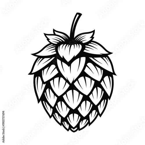 Detailed vintage style hop cone illustration for craft beer and brewing.