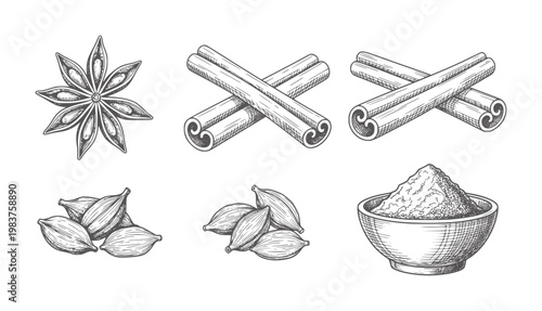 Black and white line of star anise cinnamon sticks cardamom and ground spice spices