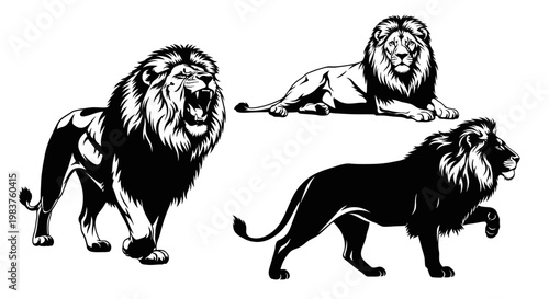 Majestic Lion Poses: Roaring, Resting, and Walking Silhouettes