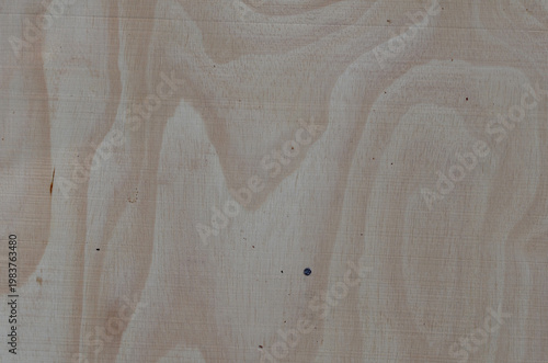 Wood texture. Surface of teak wood background for design and decoration.