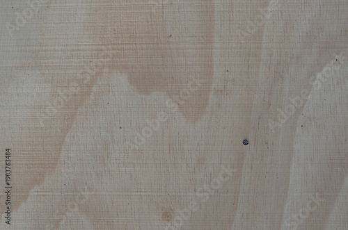 Wood texture. Surface of teak wood background for design and decoration.