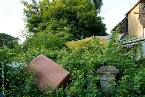 Closeup of Dirty Old brown Sofa left in the forest on the side of the road in Thailand, Selective Focus.