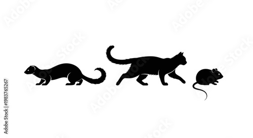 Silhouette Collection of Ferret, Cat, and Mouse in Motion