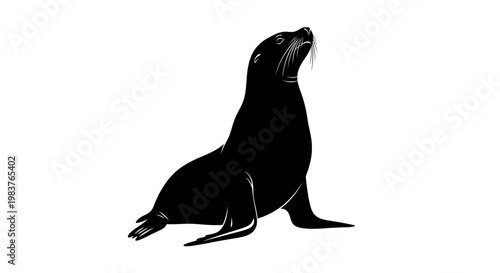 Silhouette of a Seal Looking Upwards with Whiskers and a White Background