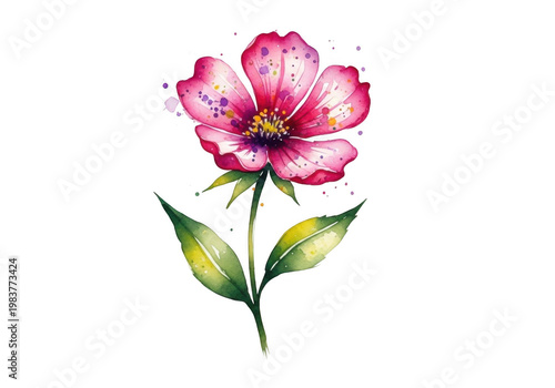 Pink peony flower with green leaves and stem isolated on transparent background