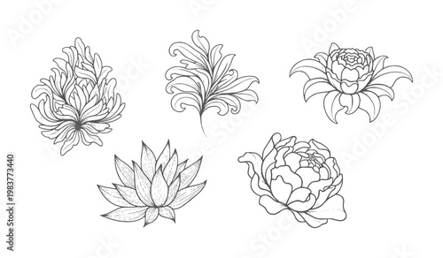 Five intricate black and white decorative floral line florals flowers
