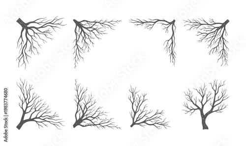 Monochrome bare tree and root system in varied orientations roots trees branches