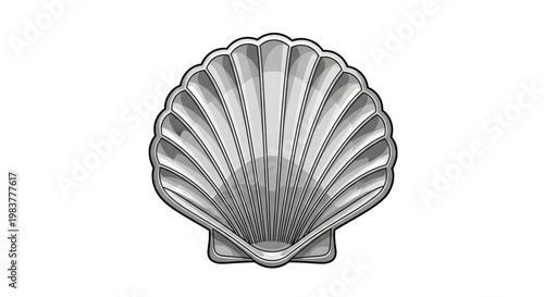 Silver seashell illustration with symmetrical ridges and fan-like pattern for marine life and coastal design elements