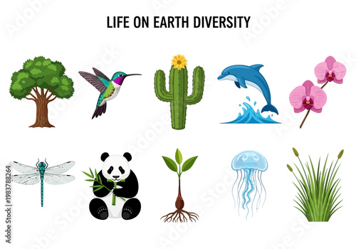 Life on Earth Diversity A Vibrant Collection of Flora, Fauna, and Marine Life