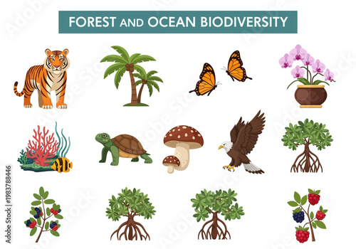 Illustrations showcasing diverse flora and fauna from forest and ocean ecosystems