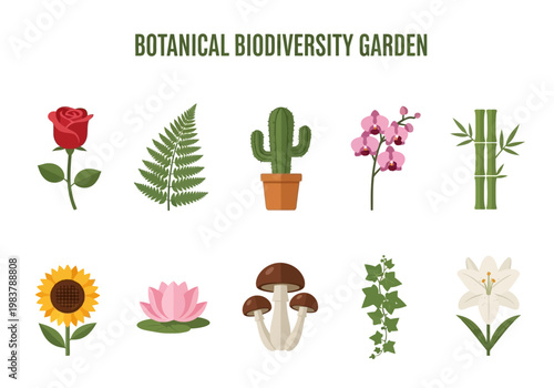 Collection of Diverse Botanical Elements Flowers, Plants, and Fungi for Nature Exploration