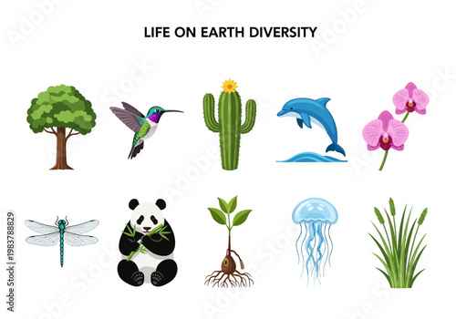 Illustrating the incredible diversity of life on Earth with vibrant and colorful illustrations of animals and plants