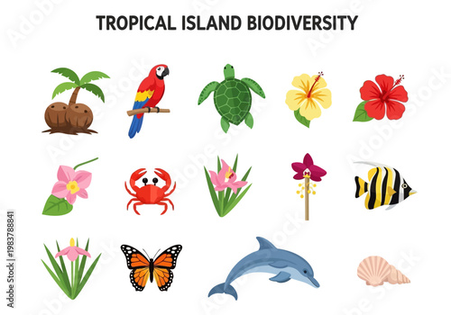Tropical Island Biodiversity A Vibrant Collection of Flora and Fauna Illustrations
