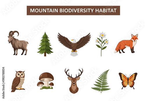 Mountain Biodiversity Habitat A Collection of Flora and Fauna Found in Alpine Ecosystems