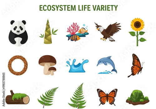 Discover the diverse beauty of ecosystem life and its vibrant inhabitants