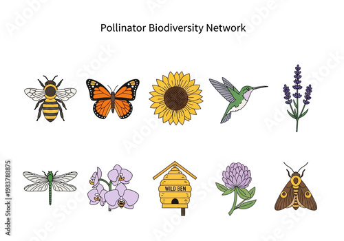 Pollinator Biodiversity Network Celebrating Bees, Butterflies, Hummingbirds, and More