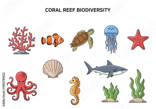 Illustrative Collection of Coral Reef Biodiversity Featuring Marine Life and Flora