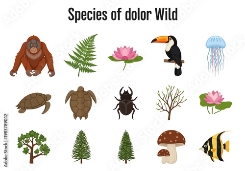 Collection of diverse flora and fauna including animals, plants, and natural elements found in wild habitats