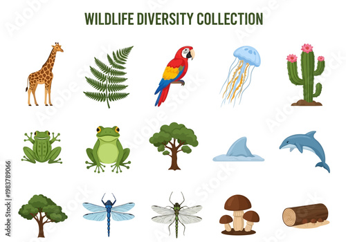 Collection of Diverse Wildlife Animals, Plants, and Sea Creatures Featuring Giraffe, Parrot, Jellyfish, Frog, Tree, Mushroom, Dolphin