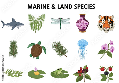Collection of Diverse Marine and Land Species Including Animals, Plants, and Decorative Objects