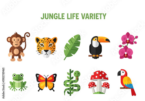 Discover the vibrant diversity of jungle life with this colorful collection of flora and fauna illustrations
