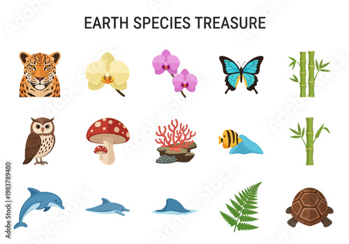 Earth Species Treasure A Collection of Flora and Fauna from Around the Globe