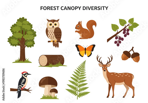 Forest Canopy Diversity Featuring Wildlife and Plant Life