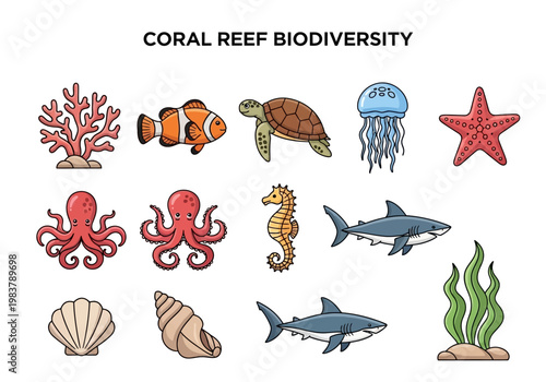 Collection of marine life illustrations, featuring coral, fish, and other sea creatures