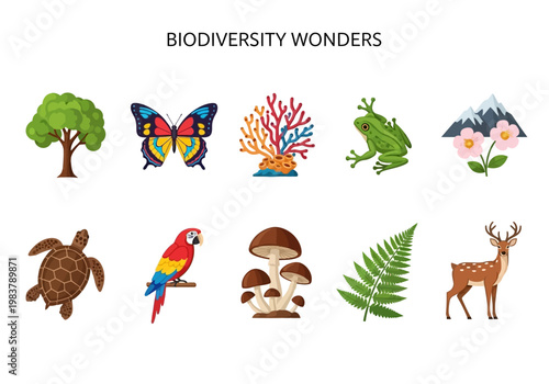 Biodiversity Wonders Collection A Visual Showcase of Nature's Diverse Flora and Fauna