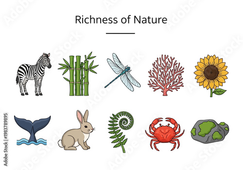 Beautiful Nature Elements A Collection of Illustrations of Wildlife, Plants, and Marine Life