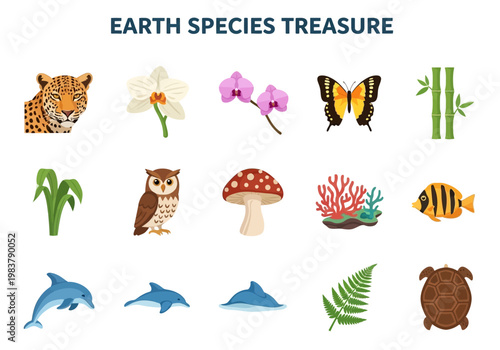 A Treasure Trove of Earth's Diverse Species Animals, Plants, and Fungi Collection