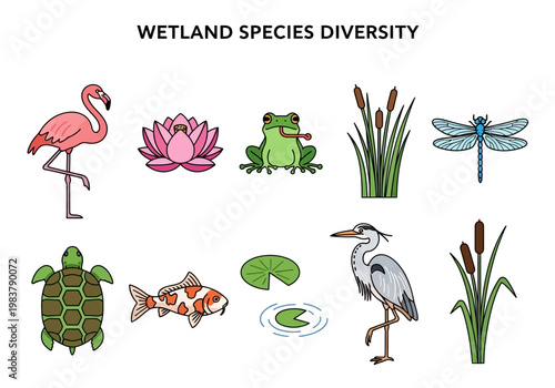 Illustration of Wetland Species Diversity with Flamingo, Turtle, Koi Fish, Frog, Heron, Dragonfly, and Aquatic Plants