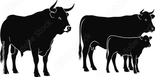 Silhouette illustration of bull, cow, and calf livestock animals showcasing farm cattle family group in vector design