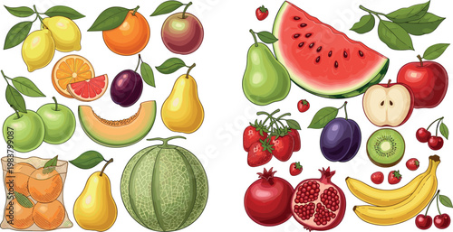 Vibrant Summer Fruit Vector Set Featuring Watermelon, Pomegranate, Banana, Kiwi, Melon, Plum and Citrus Illustration Collection